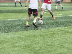 通超半决赛,免费开放预,敬请期待,OD体育,OD体育官网,OD体育官方,OD体育下载