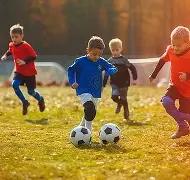 禁售警示,超标,倍致癌物,OD体育,OD体育官网,OD体育官方,OD体育下载