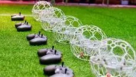 重金属中毒的典型症状有哪些？